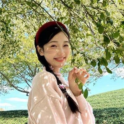 烽火芳菲 在线观看